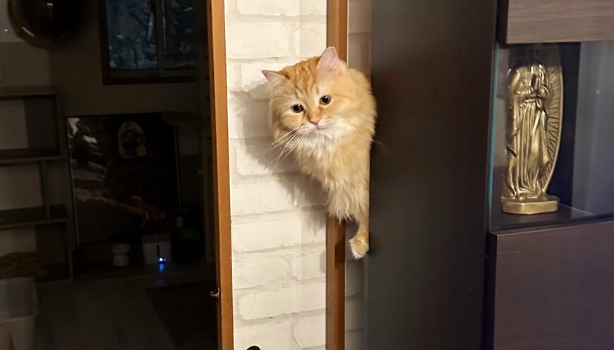 出所：@NEKOLAND13