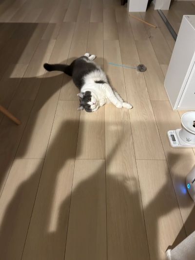 出所：@brimochi222