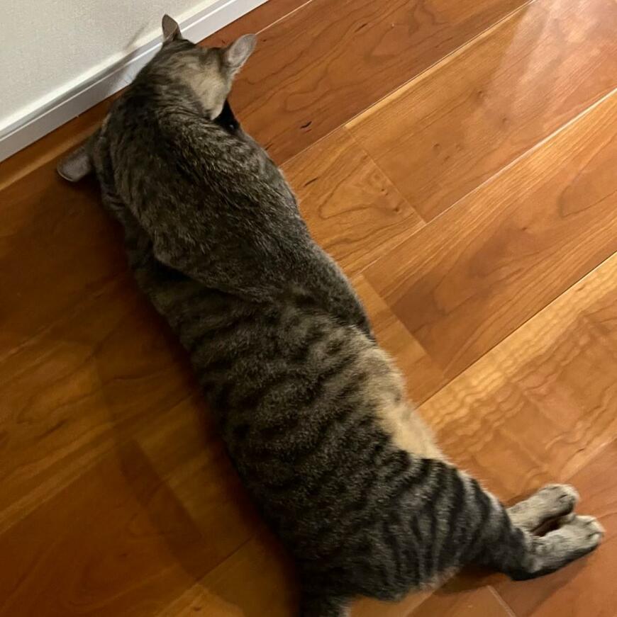 出所：@kagisuzu0531