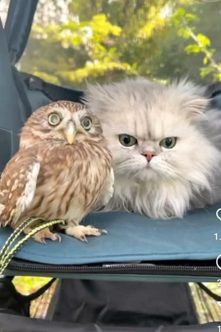 出所：@cr8673.hiro