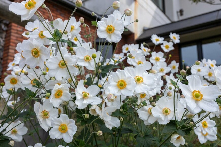 Billy_Fam/istockphoto.com