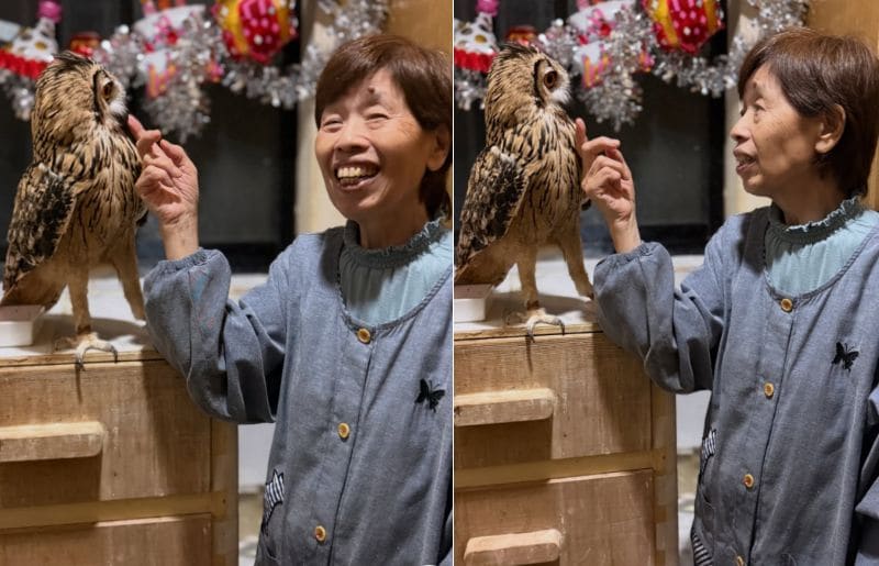 出所：@ba_chantolatte