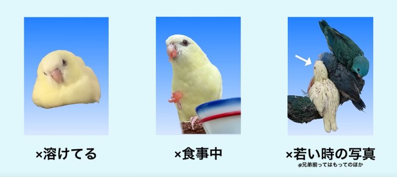 出所：@anz_omomiri