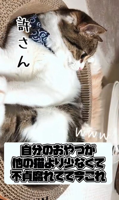 出所:@nikoandkotatorowasabi