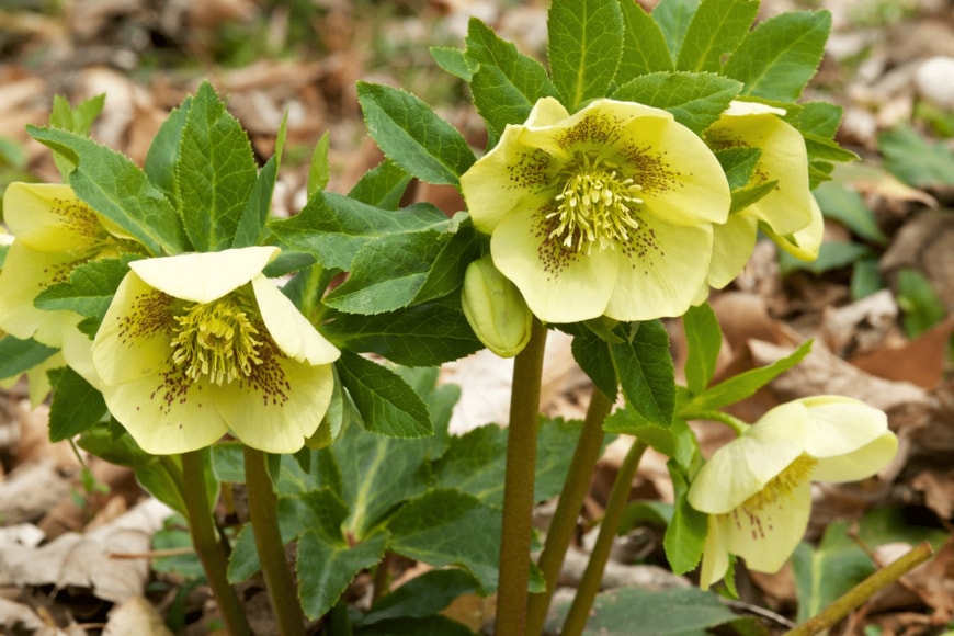 Billy_Fam/istockphoto.com