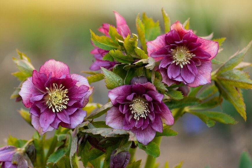 lesichkadesign/istockphoto.com