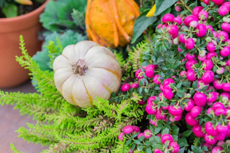 IKvyatkovskaya/istockphoto.com