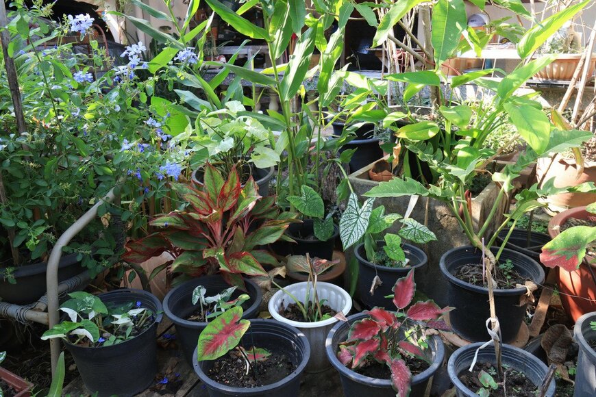 Tonpong Rohitsathian/istockphoto.com