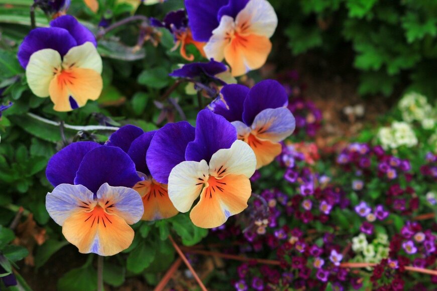 Free art director/istockphoto.com