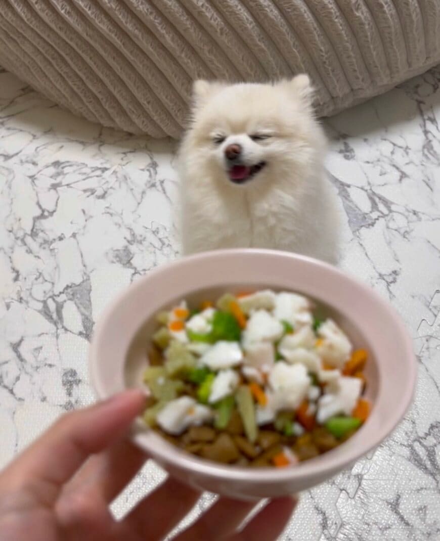 出所:@boku_ponchan