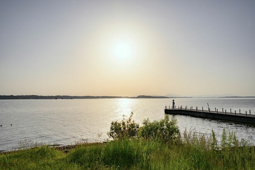 「はっ！？」海にしかいないはずが…　茨城県の湖で釣れた生物に「これはエグい」「マジっすか」