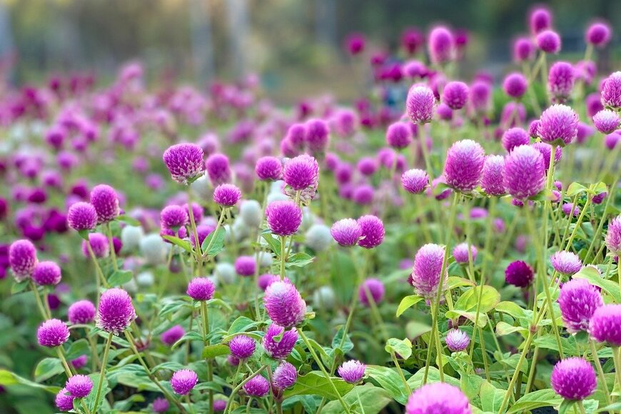 brucemaloneatx/istockphoto.com