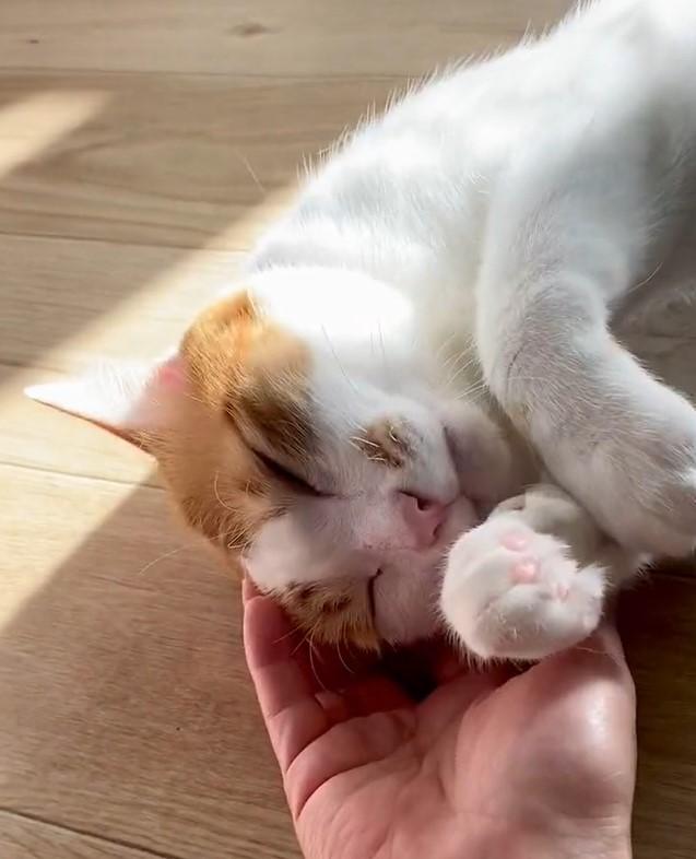 出所：@luna7taka9