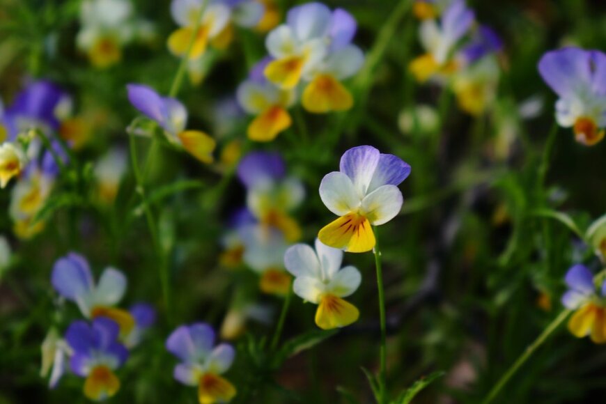 AGabriel_Photo/shutterstock.com