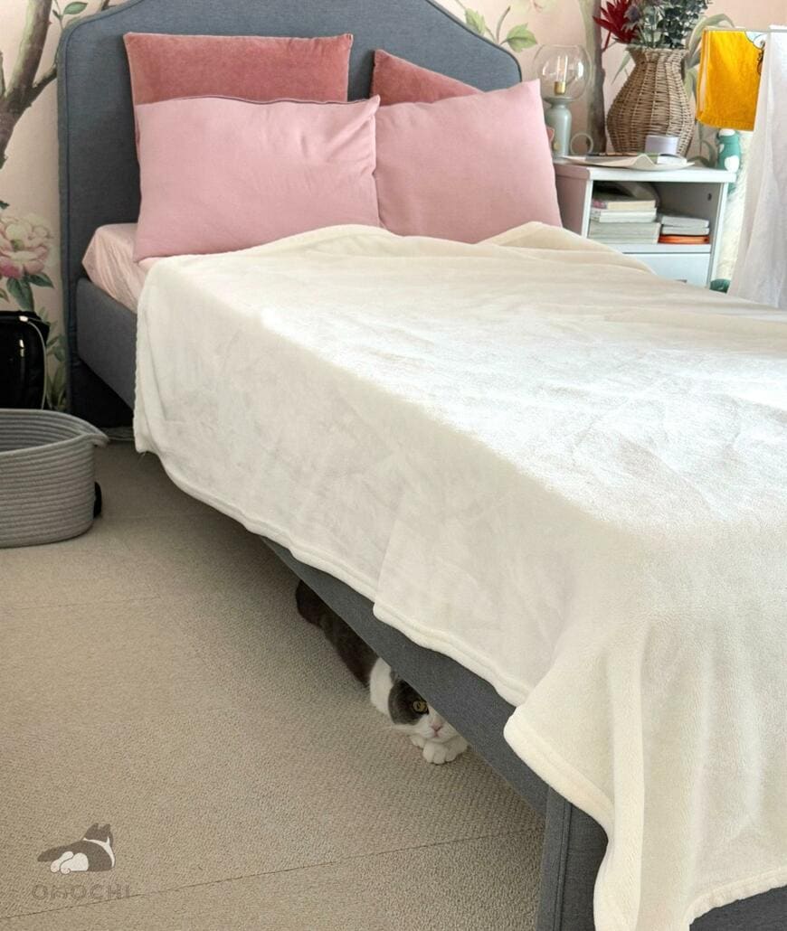 「視線感じるなって思ったら…」猫の「まさかの姿」に笑っちゃう！