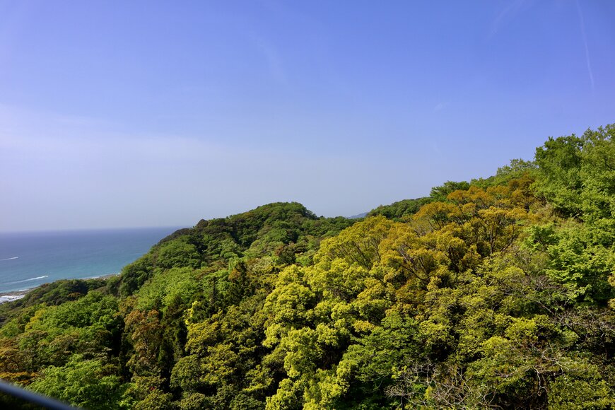 画像出所：ロープウェイから見た駿河湾（筆者撮影）