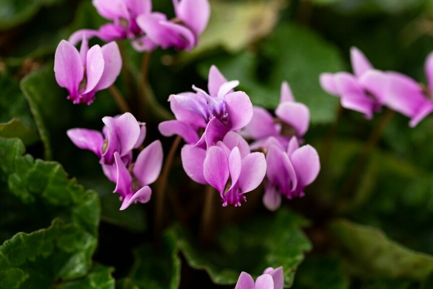 Maksims Grigorjevs/istockphoto.com