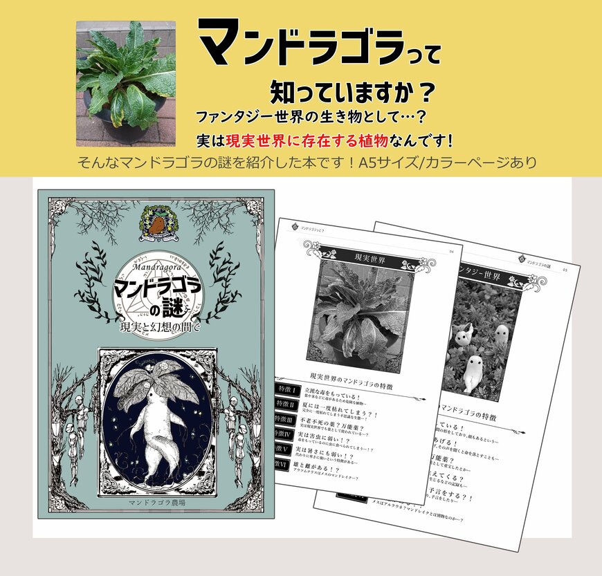 マンドラゴラを紹介する本