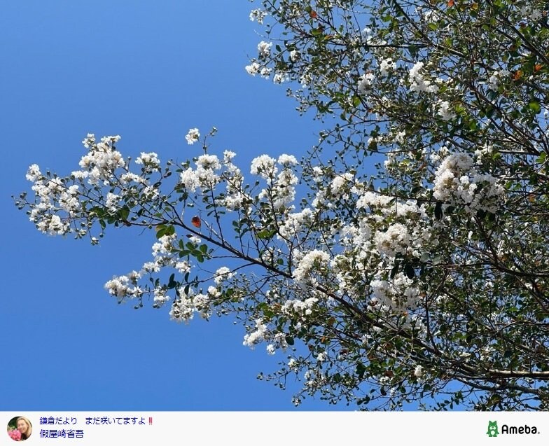 假屋崎省吾のAmebaブログ投稿