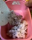 元料理人の父が高校生の娘に作る【冷凍エビフライ弁当】　おかずたっぷりでおいしそうな見た目に注目！