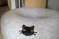 自宅にある「クッション」から猫の視線を感じる…　「まさかの奇跡」に思わず二度見