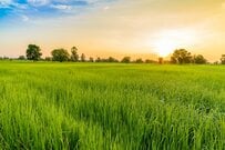 日本の生活保護者は何人か。生活保護の4つの条件や手続きの流れを解説