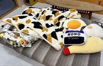 ブランケットで寝る「2匹」の猫　あまりにもわかりにくい光景にホッコリ