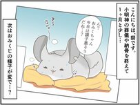 小明神さんが生きた証。未来へと繋った、新しい命【チンチライフ65話】