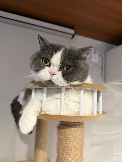まん丸のお顔がキュートですね
