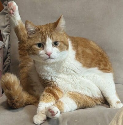 ヤル気あふれる？ダーウィンちゃん