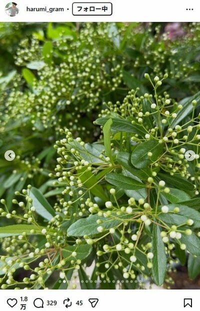 栗原はるみのInstagram投稿