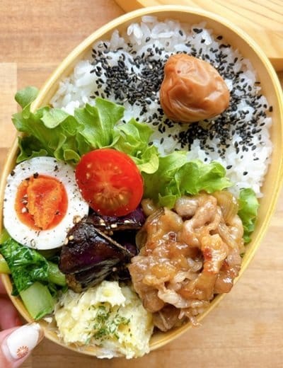 投稿動画のワンシーン