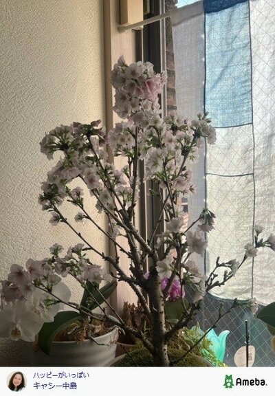 キャシー中島の公式ブログ投稿