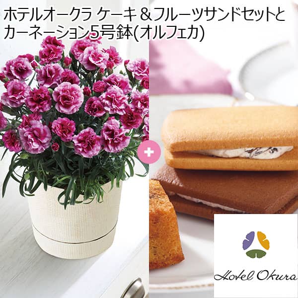 ホテルオークラ ケーキ＆フルーツサンドセットとカーネーション5号鉢