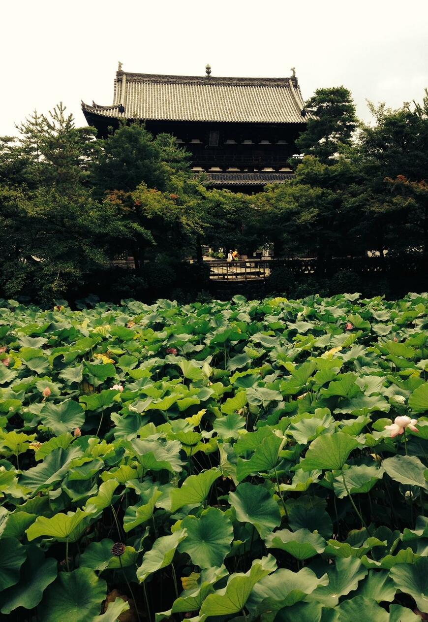 写真：筆者撮影