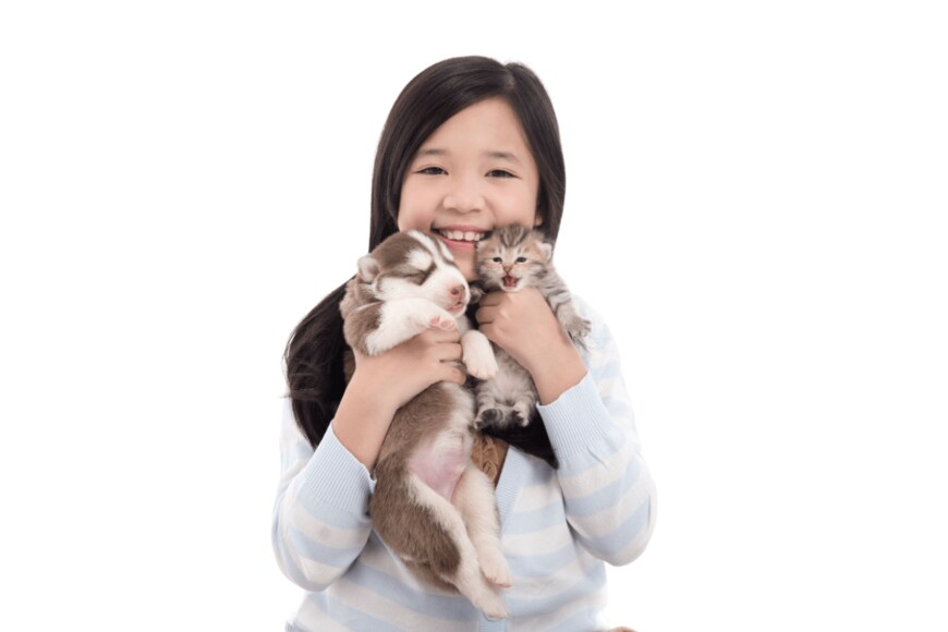 ANURAK PONGPATIMET/shutterstock.com