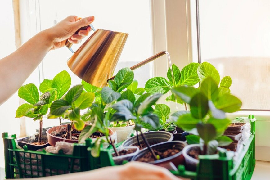 Maryviolet/istockphoto.com