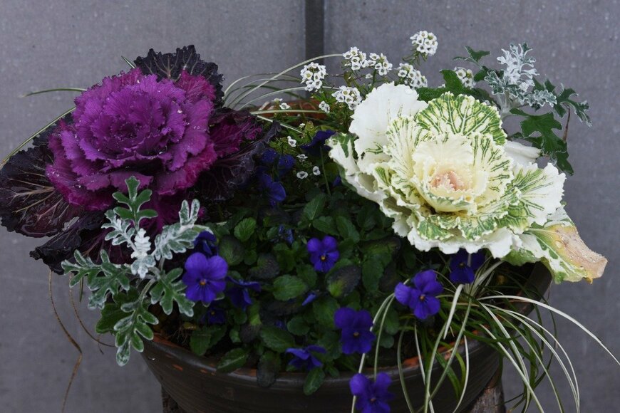 undefined undefined/istockphoto.com