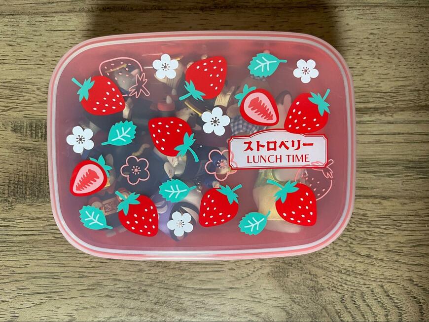 筆者撮影（セリア、K682 お弁当箱レトロフルーツ L）