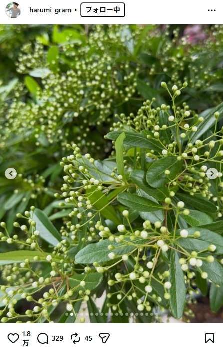 出所：栗原はるみのInstagram（＠harumi_gram） 参照日：2026年4月20日