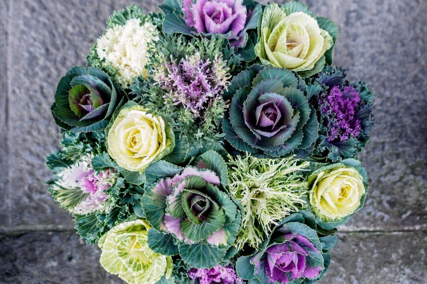 Naphat_Jorjee/istockphoto.com