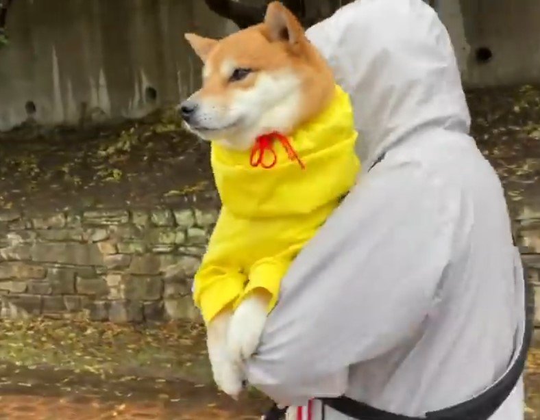 出所：wasa.mooooochan