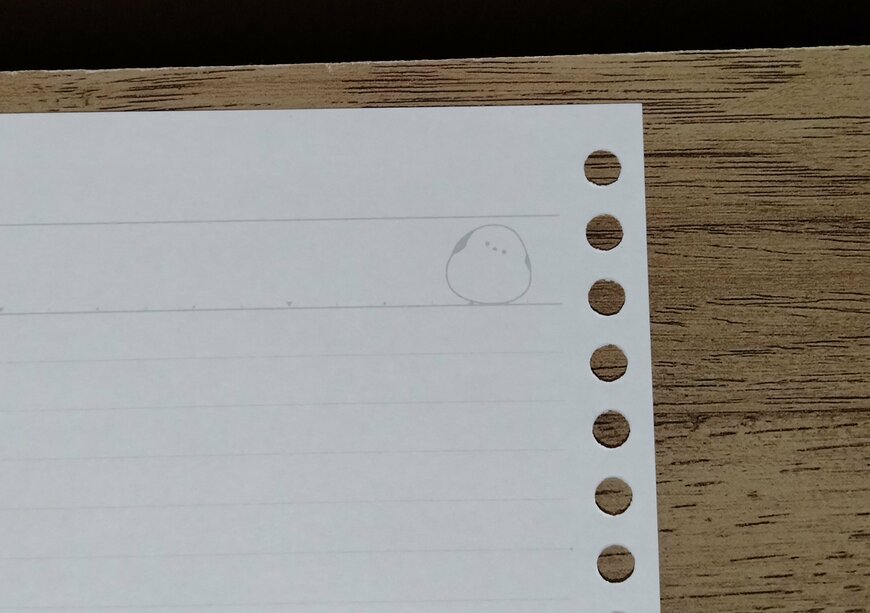 筆者撮影（セリア、B5ルーズリーフ A罫 もふもふばーど 30枚）