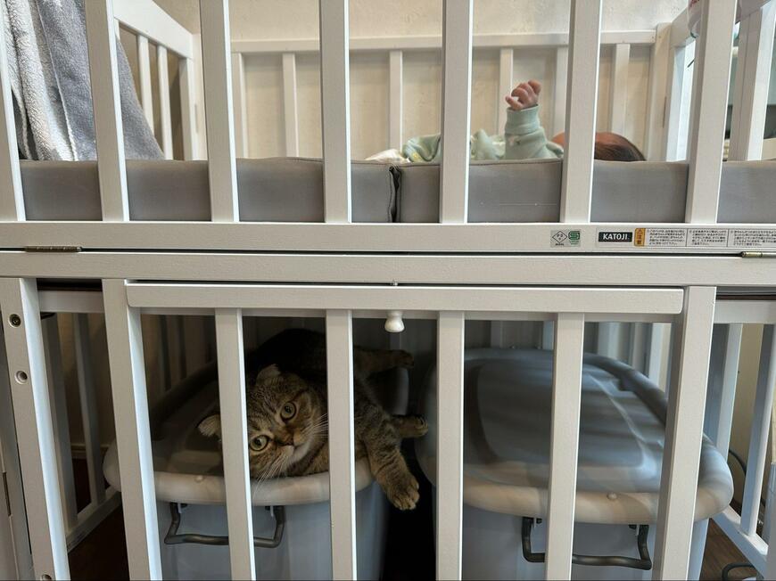 出所：@ponpokopontanu