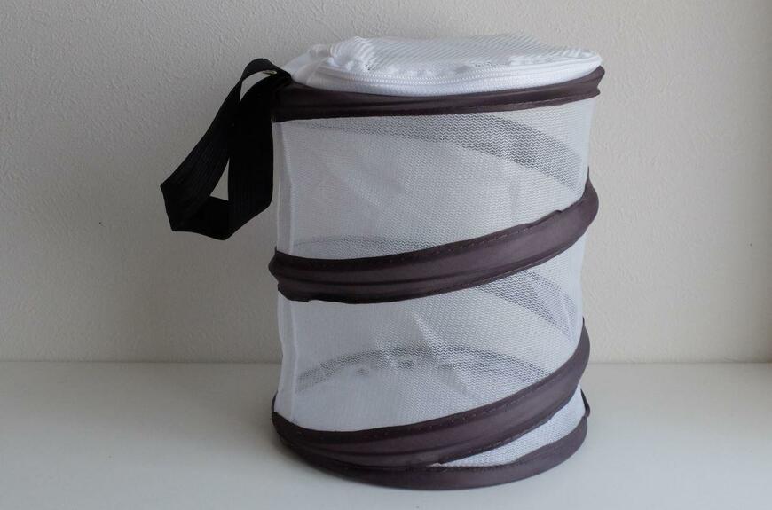 筆者撮影（ダイソー、昆虫採集網）