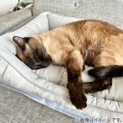 画像出所：ニトリ公式通販ニトリネット