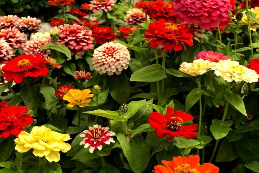 Nice_she/shutterstock.com