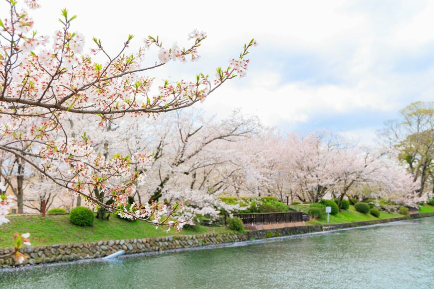 yoshitani takatoshi/shutterstock.com