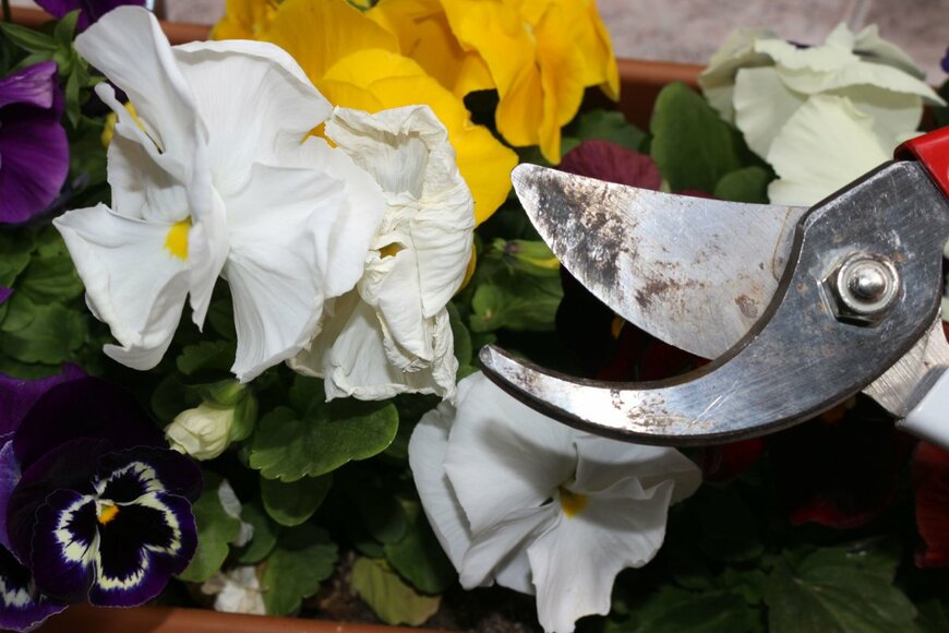 Aybarskr/shutterstock.com