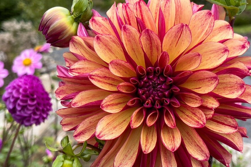 Maryann Zucker/istockphoto.com